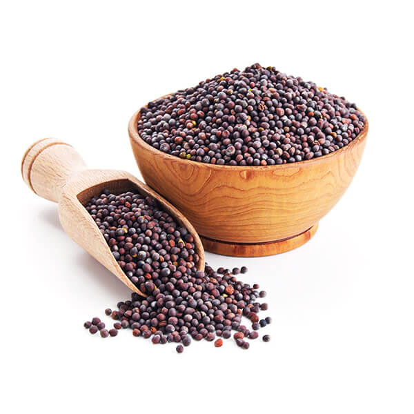 MUSTARD SEED | National Commodity & Derivatives Exchange Limited